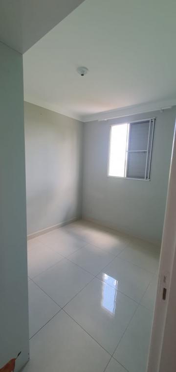 imagem 3 - Apartamentos - Padrão imagem 3 - Apartamentos - Padrão