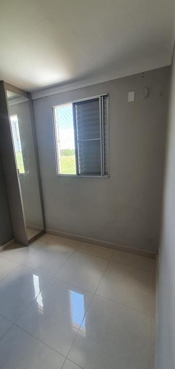 imagem 5 - Apartamentos - Padrão imagem 5 - Apartamentos - Padrão