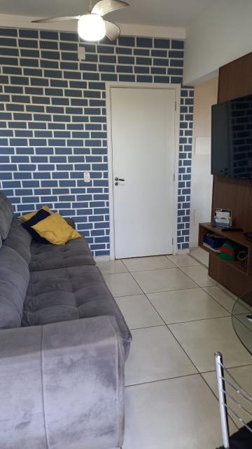 imagem 2 - Apartamentos - Padrão imagem 2 - Apartamentos - Padrão