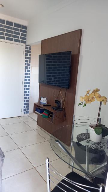 imagem 3 - Apartamentos - Padrão imagem 3 - Apartamentos - Padrão