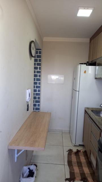 imagem 4 - Apartamentos - Padrão imagem 4 - Apartamentos - Padrão