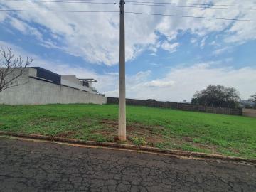 imagem 3 - Terrenos - LoteTerreno imagem 3 - Terrenos - LoteTerreno