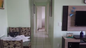 imagem 3 - Apartamentos - Padrão imagem 3 - Apartamentos - Padrão