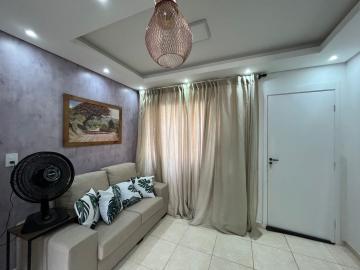 imagem 3 - Apartamentos - Padrão imagem 3 - Apartamentos - Padrão