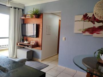 imagem 5 - Apartamentos - Padrão imagem 5 - Apartamentos - Padrão