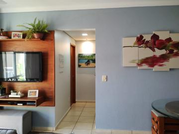 imagem 3 - Apartamentos - Padrão imagem 3 - Apartamentos - Padrão
