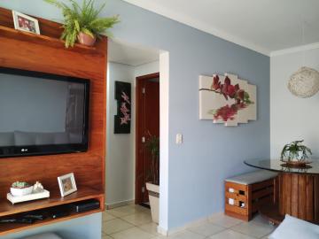 imagem 2 - Apartamentos - Padrão imagem 2 - Apartamentos - Padrão