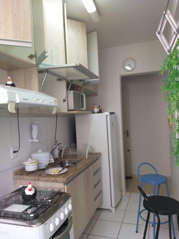 imagem 2 - Apartamentos - Padrão imagem 2 - Apartamentos - Padrão