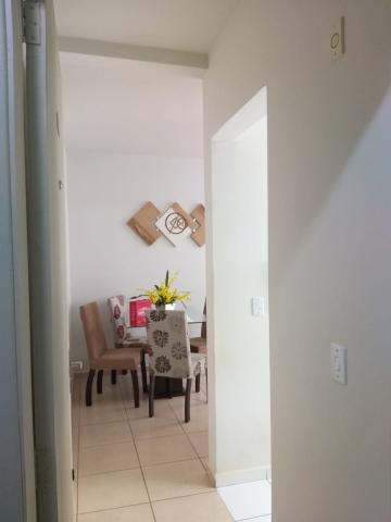 imagem 3 - Apartamentos - Padrão imagem 3 - Apartamentos - Padrão