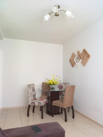 imagem 5 - Apartamentos - Padrão imagem 5 - Apartamentos - Padrão