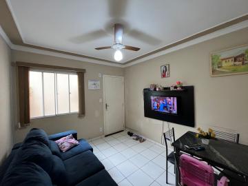 imagem 3 - Apartamentos - Padrão imagem 3 - Apartamentos - Padrão