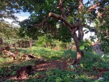 imagem 1 - Terrenos - LoteTerreno imagem 1 - Terrenos - LoteTerreno