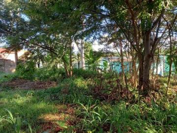 imagem 2 - Terrenos - LoteTerreno imagem 2 - Terrenos - LoteTerreno