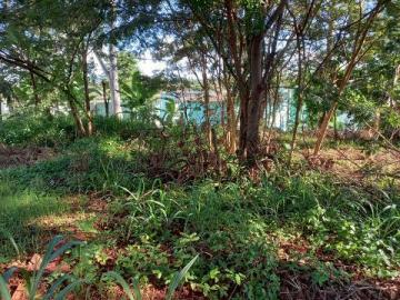 imagem 4 - Terrenos - LoteTerreno imagem 4 - Terrenos - LoteTerreno