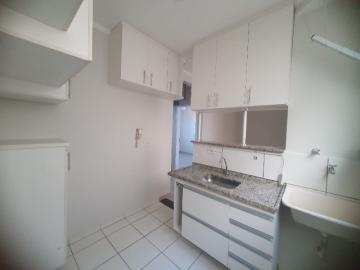 imagem 2 - Apartamentos - Padrão imagem 2 - Apartamentos - Padrão