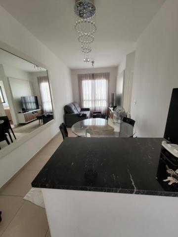 imagem 2 - Apartamentos - Padrão imagem 2 - Apartamentos - Padrão