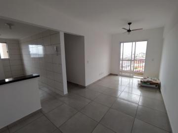 imagem 3 - Apartamentos - Padrão imagem 3 - Apartamentos - Padrão