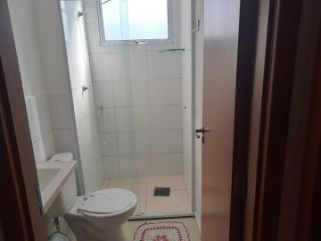 imagem 4 - Apartamentos - Padrão imagem 4 - Apartamentos - Padrão