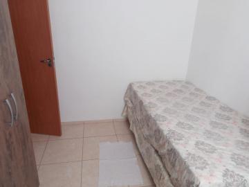 imagem 5 - Apartamentos - Padrão imagem 5 - Apartamentos - Padrão