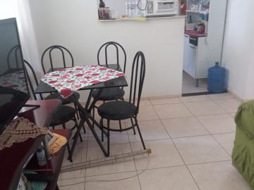 imagem 2 - Apartamentos - Padrão imagem 2 - Apartamentos - Padrão