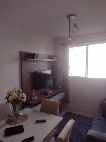 imagem 4 - Apartamentos - Padrão imagem 4 - Apartamentos - Padrão