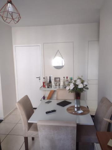 imagem 5 - Apartamentos - Padrão imagem 5 - Apartamentos - Padrão
