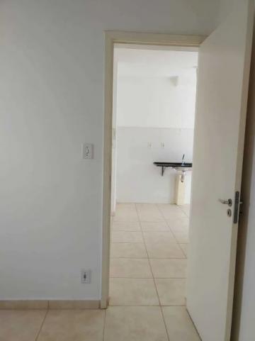 imagem 5 - Apartamentos - Padrão imagem 5 - Apartamentos - Padrão