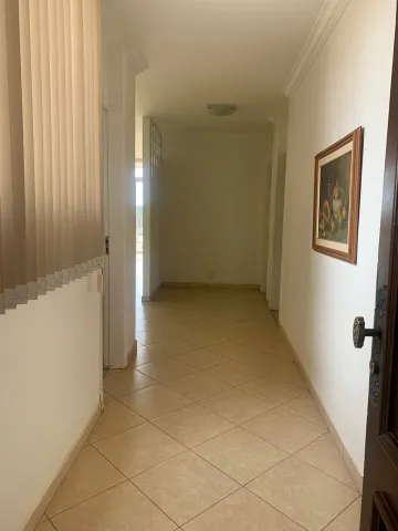 imagem 3 - Apartamentos - Padrão imagem 3 - Apartamentos - Padrão