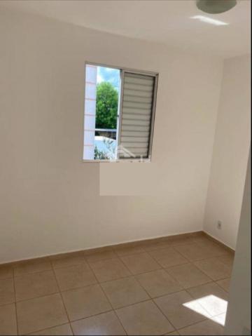 imagem 5 - Apartamentos - Padrão imagem 5 - Apartamentos - Padrão