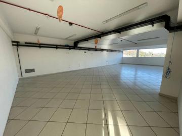Comercial / Imóvel Comercial em Ribeirão Preto/SP 