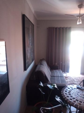 imagem 3 - Apartamentos - Padrão imagem 3 - Apartamentos - Padrão