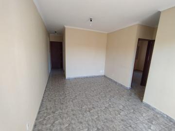 imagem 3 - Apartamentos - Padrão imagem 3 - Apartamentos - Padrão