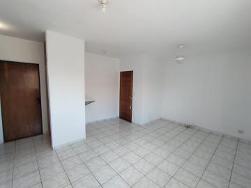 imagem 3 - Apartamentos - Padrão imagem 3 - Apartamentos - Padrão