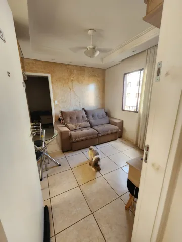 imagem 4 - Apartamentos - Padrão imagem 4 - Apartamentos - Padrão