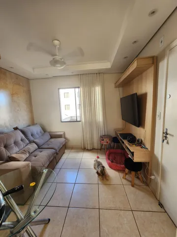imagem 5 - Apartamentos - Padrão imagem 5 - Apartamentos - Padrão