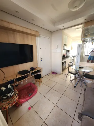 imagem 3 - Apartamentos - Padrão imagem 3 - Apartamentos - Padrão