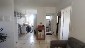 Alugar Apartamentos / Padrão em Ribeirão Preto. apenas R$ 180.000,00