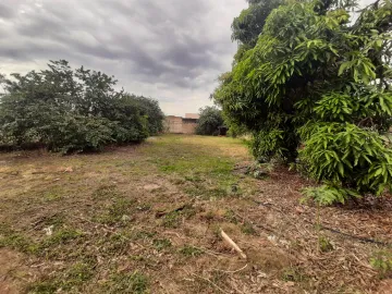 imagem 2 - Terrenos - LoteTerreno imagem 2 - Terrenos - LoteTerreno