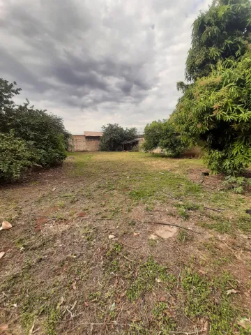 imagem 1 - Terrenos - LoteTerreno imagem 1 - Terrenos - LoteTerreno