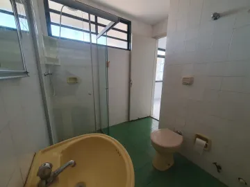 imagem 3 - Apartamentos - Kitnet imagem 3 - Apartamentos - Kitnet