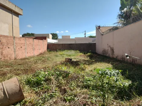 Alugar Terrenos / LoteTerreno em Ribeirão Preto. apenas R$ 175.000,00