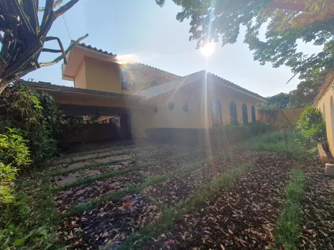 Alugar Casas Residenciais / Padrão em Ribeirão Preto. apenas R$ 15.000,00