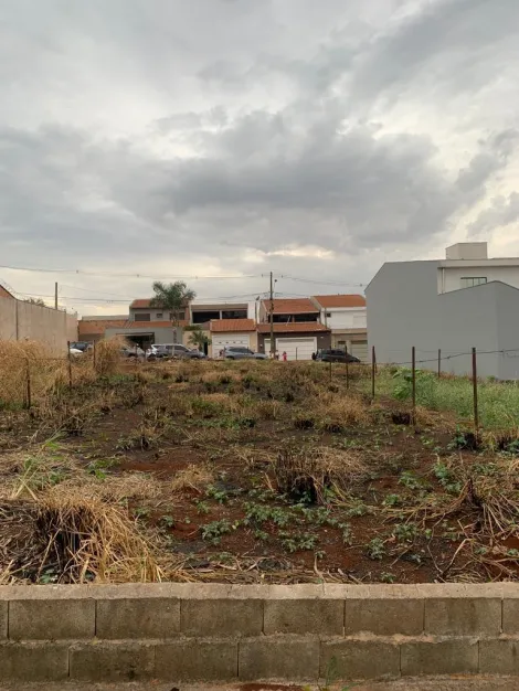 Alugar Terrenos / Lote/Terreno em Ribeirão Preto. apenas R$ 120.000,00