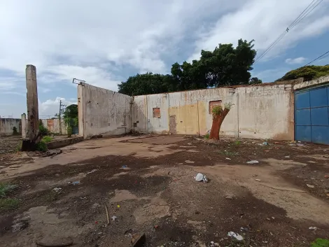 Alugar Terrenos / Lote/Terreno em Ribeirão Preto. apenas R$ 3.500,00