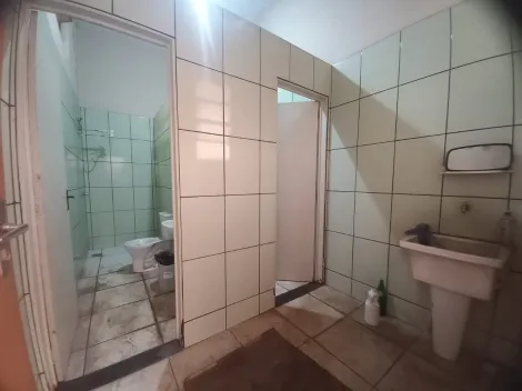 alt=