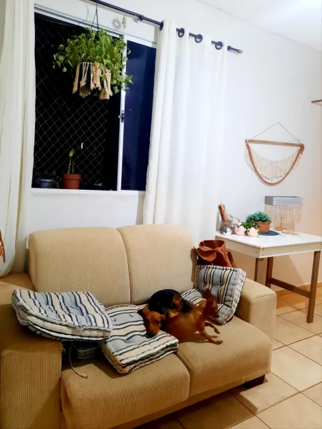 imagem 4 - Apartamentos - Padrão imagem 4 - Apartamentos - Padrão