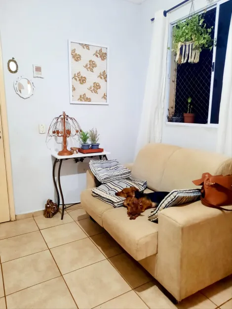 imagem 2 - Apartamentos - Padrão imagem 2 - Apartamentos - Padrão