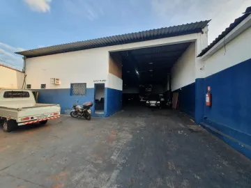 Imóveis Comerciais / Galpão Comercial em Ribeirão Preto/SP 