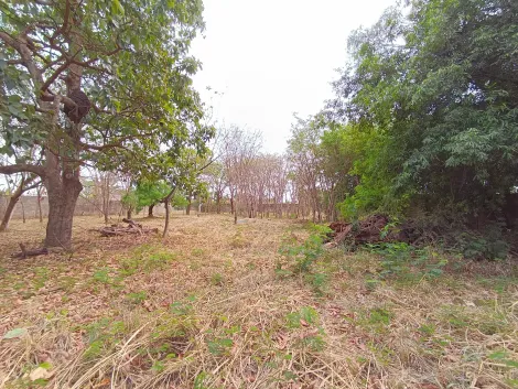 imagem 3 - Terrenos - LoteTerreno imagem 3 - Terrenos - LoteTerreno