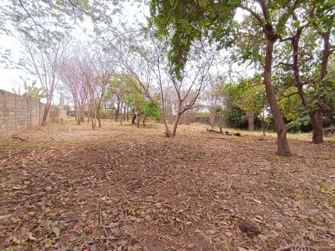 imagem 1 - Terrenos - LoteTerreno imagem 1 - Terrenos - LoteTerreno